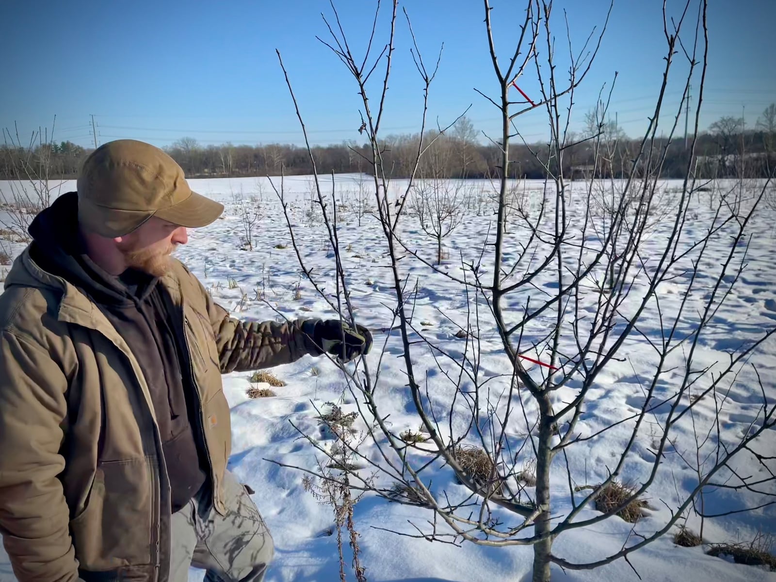 Stephen Martinek of Sugarcreek Twp. planted six apple trees in 2015 on his farm. After nearly 10 years of learning and growing, he’s hosting his first public cider pour at Joui Wine in downtown Dayton on Feb. 16. NATALIE JONES/STAFF