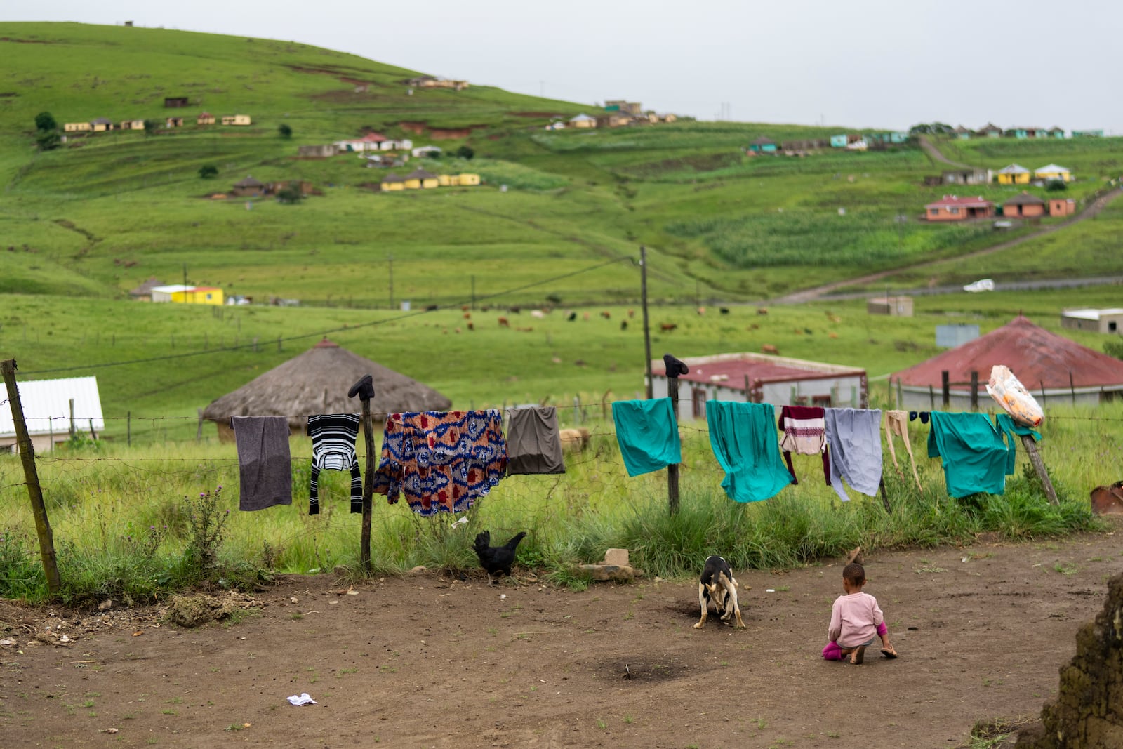 A child pays with her dog in Umzimkhulu municipality, Tuesday, Nov. 11, 2025, one of the most affected place in South Africa by U.S. President Donald Trump's global foreign aid freeze, raising worries about HIV patients defaulting on treatment. (AP Photo/Jerome Delay)