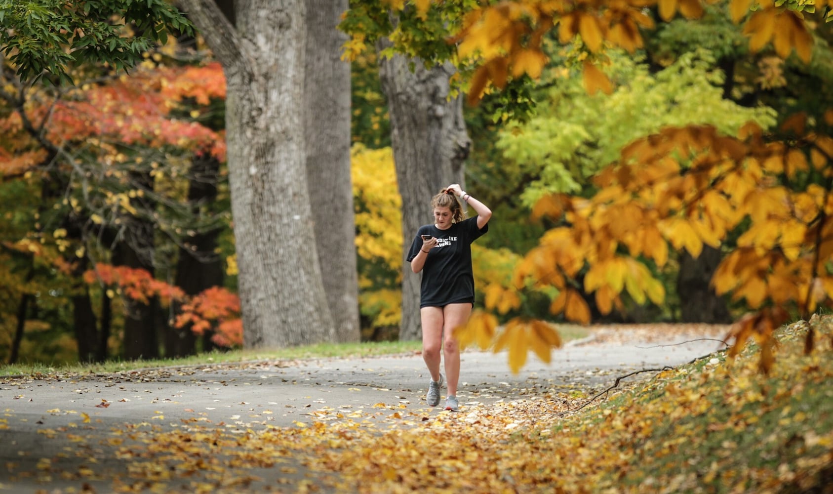 Fall colors paint the Dayton area