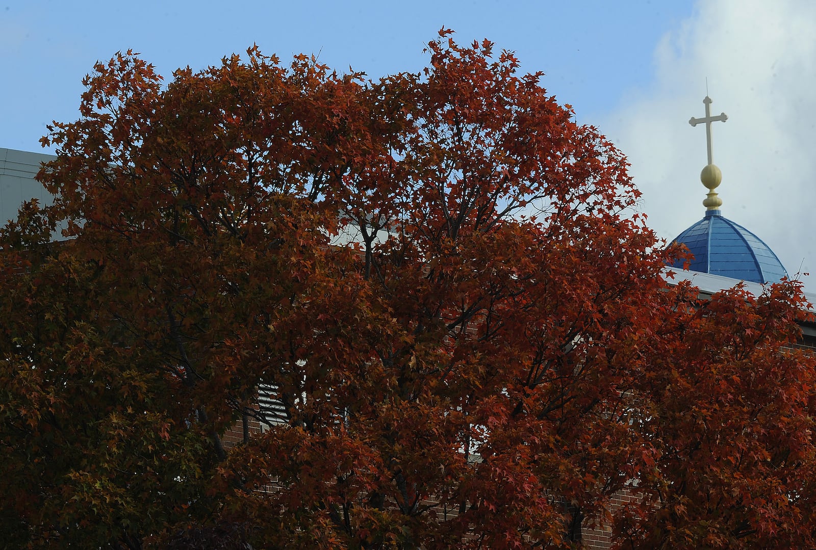 The fall colors are coming alive on the UD campus. MARSHALL GORBY\STAFF