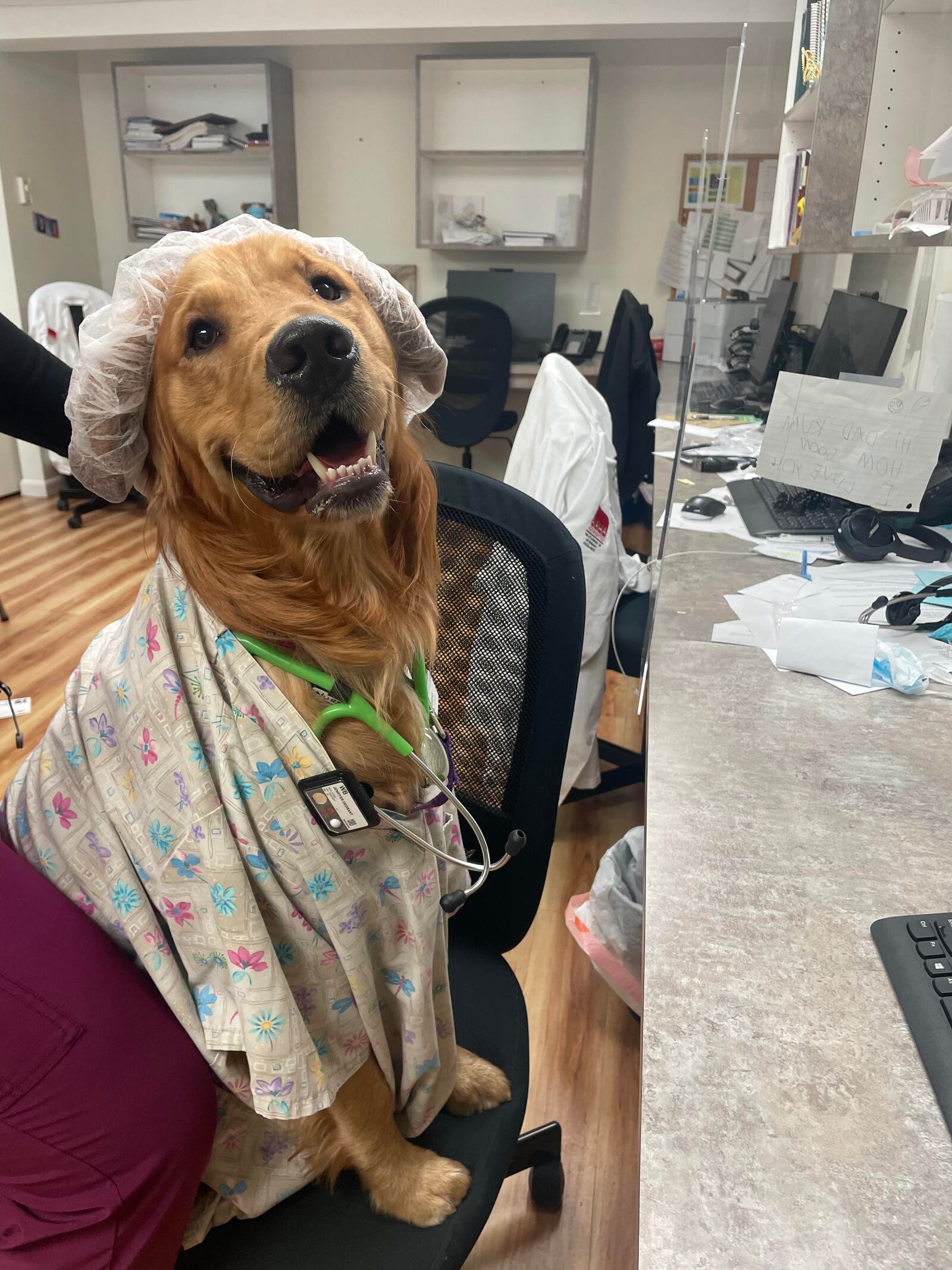 Maui is dressed up in his vet tech attire at one of the partners of Ellie's Rainy Day Fund. CONTRIBUTED