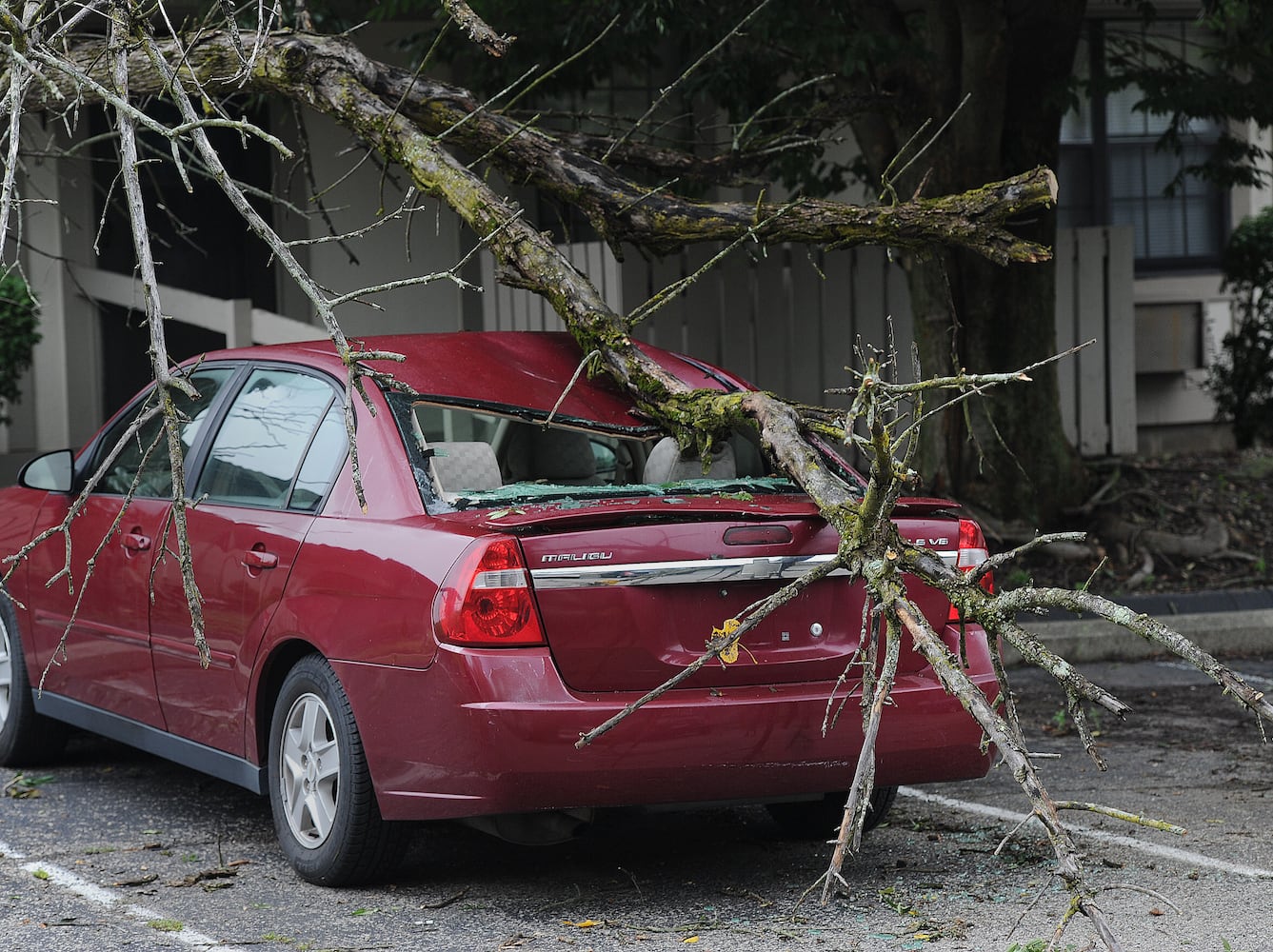 STORM DAMAGE