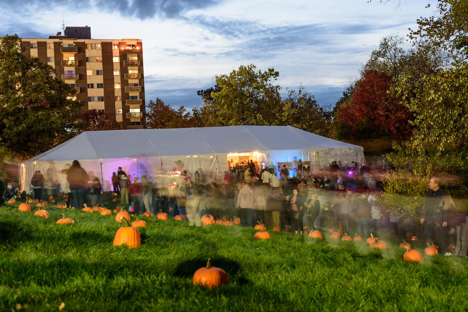 PHOTOS: The 30th annual Stoddard Avenue Pumpkin Glow