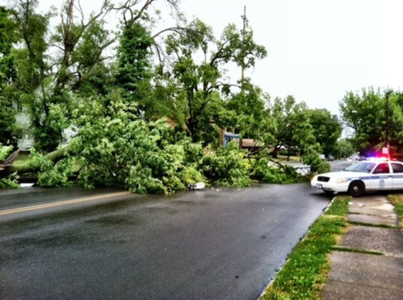 Storm damage