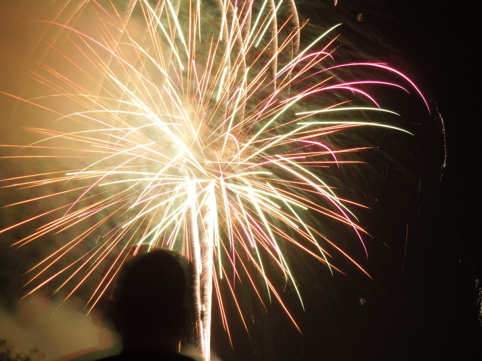 The Kevin Sonnycalb Memorial Fireworks and Xenia Rotary & Greene Memorial Hospital Fireworks Festival was held on Friday, July 3, 2015, at Shawnee Park. Kevin Sonnycalb was a Xenia native, active Rotarian, and local philanthropist. His family donated the funds for the fireworks to give back to the community that Sonnycalb loved, lived in, and greatly influenced his life.