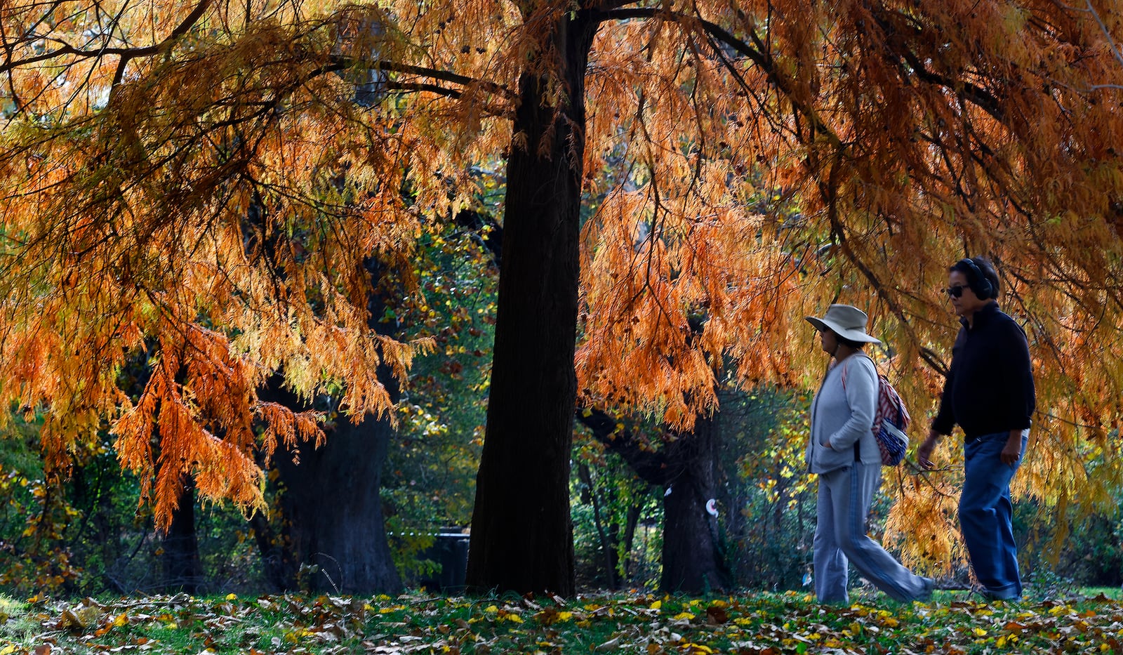 The fall colors are beautiful at Eastwood Lake Park. MARSHALL GORBY\STAFF