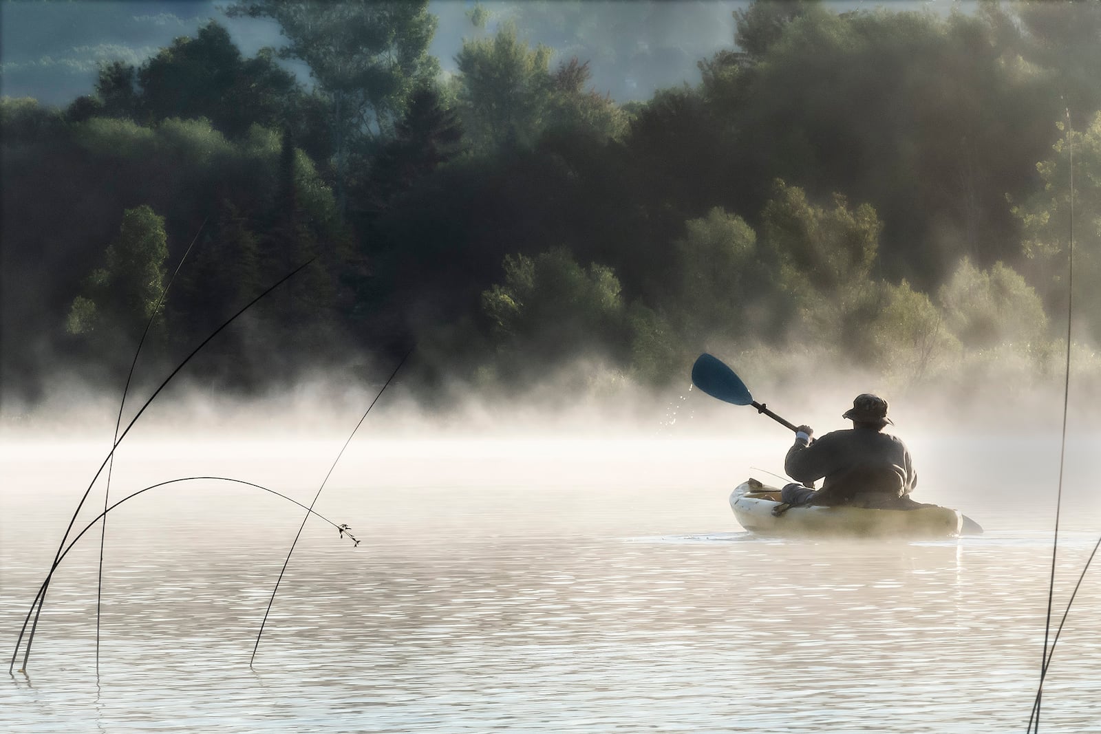 Foggy Morning Kayak Paddle by Judd Plattenburg. CONTRIBUTED