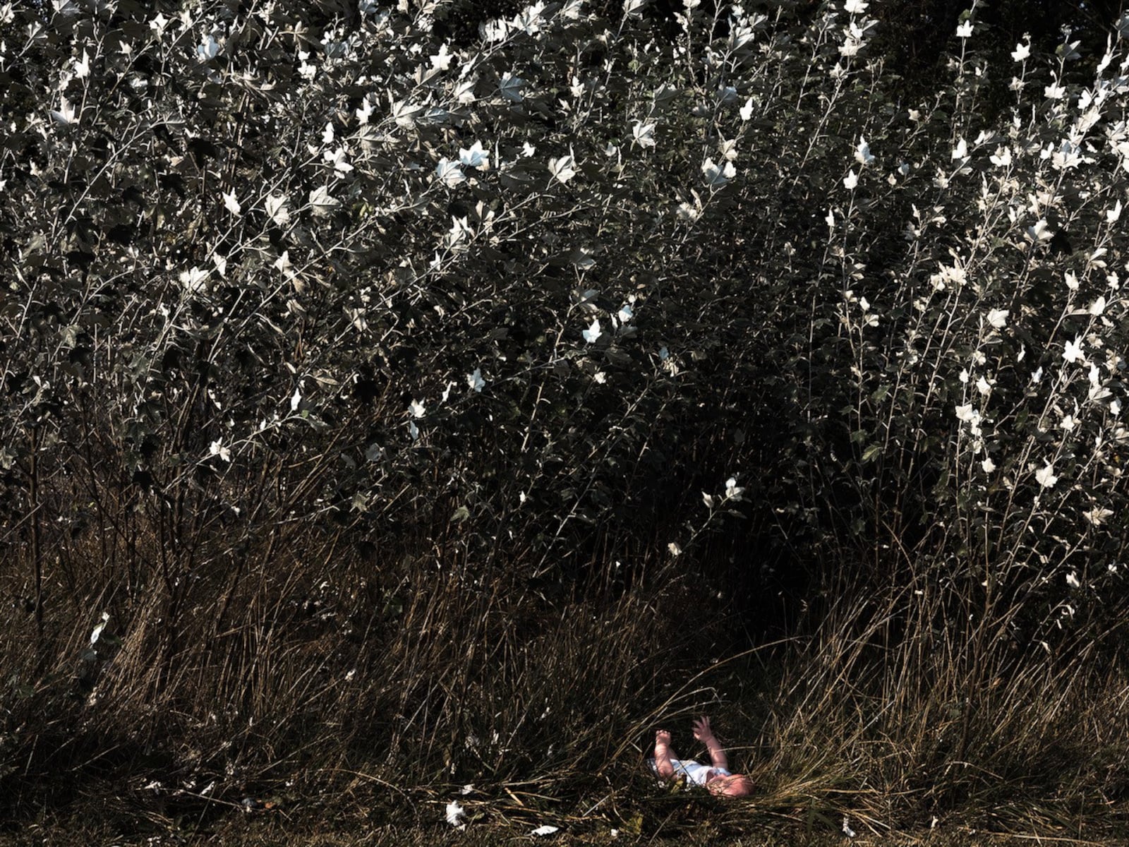 Julie Renee Jones was awarded first place in The Mike Goheen Memorial Fund Award for Photography for her work "Underside, 2021." CONTRIBUTED