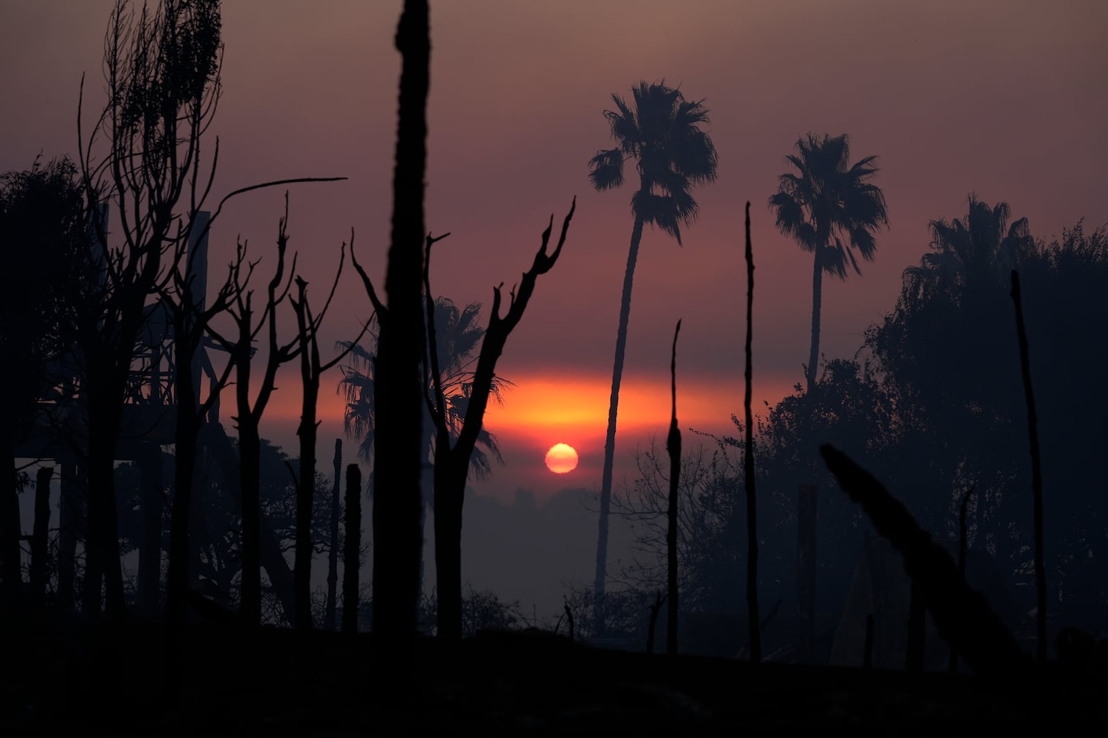 The sun rises as the Palisades Fire ravagee a neighborhood amid high winds in the Pacific Palisades neighborhood of Los Angeles, Thursday, Jan. 9, 2025. (AP Photo/Damian Dovarganes)