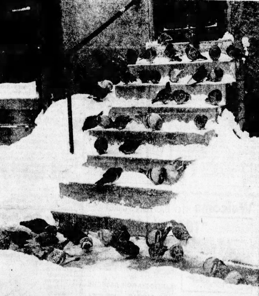 Dayton Thanksgiving Blizzard 1950