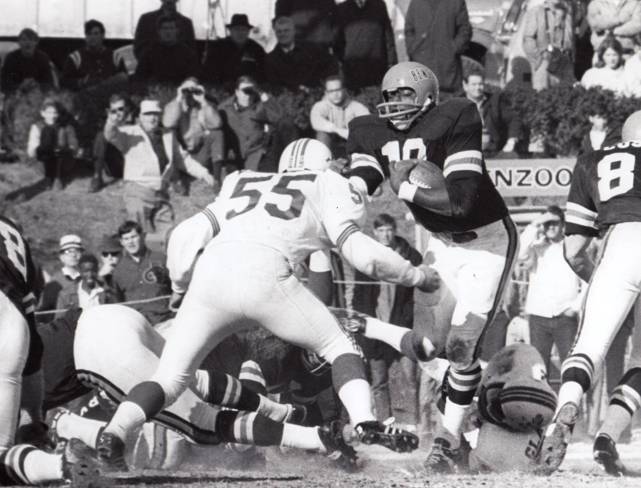 Bengals took the field 50 years ago