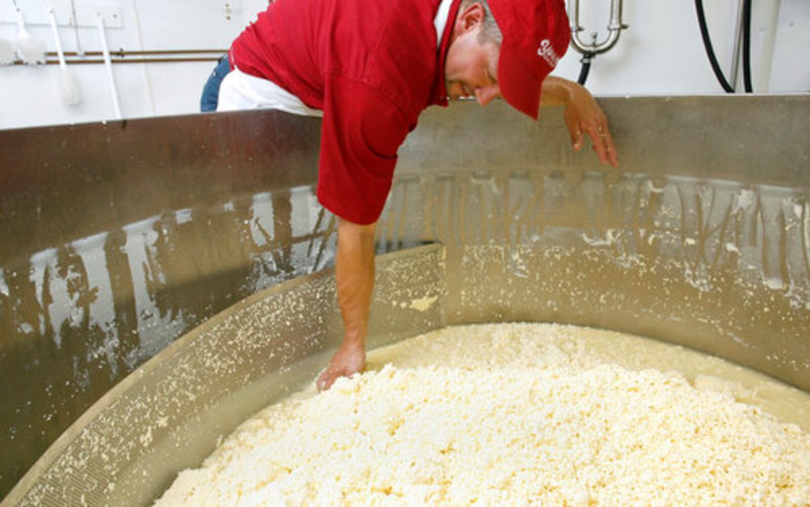 Young's Jersey Dairy makes cheese