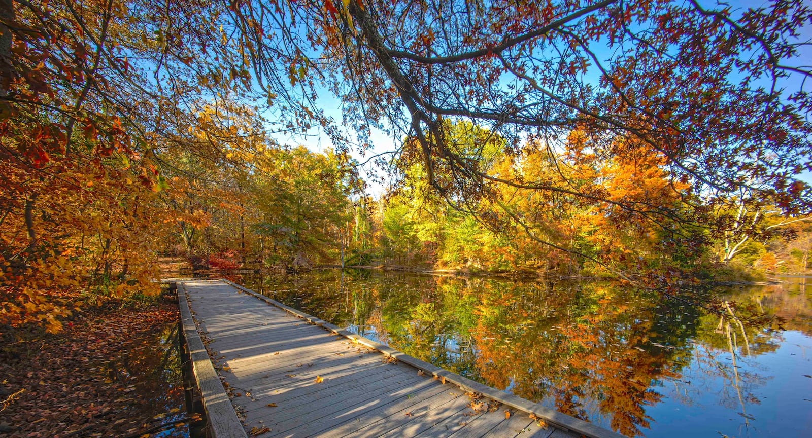 Cincinnati Nature Center in Milford, Ohio is just an hour drive from Dayton, and offers outdoor fun for all ages. CONTRIBUTED