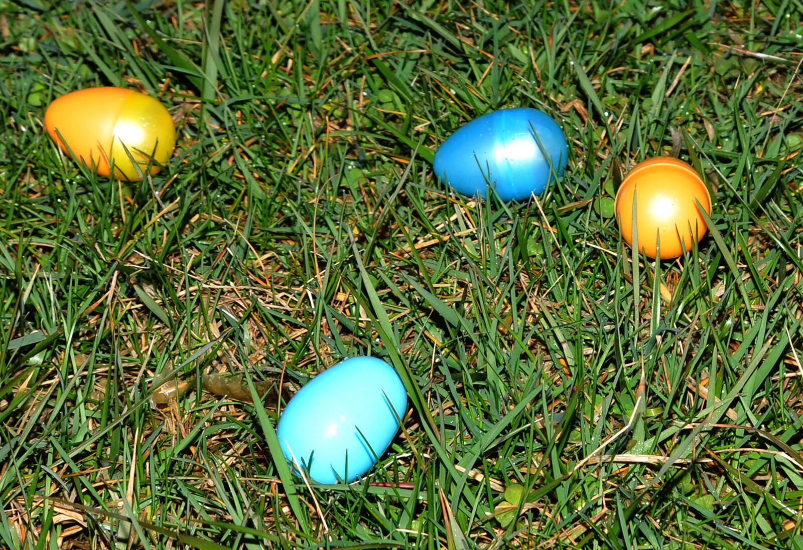 An Adult Easter Egg Hunt will be held in Vandalia on March 31. CONTRIBUTED