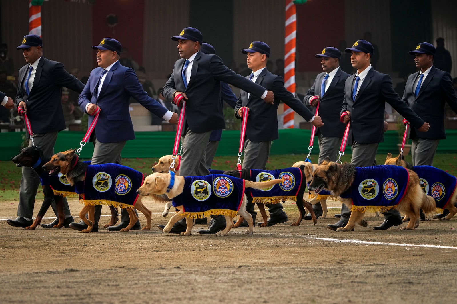 Assam police dog squad march during India's Republic Day parade in Guwahati, India, Sunday, Jan. 26, 2025. (AP Photo/Anupam Nath)