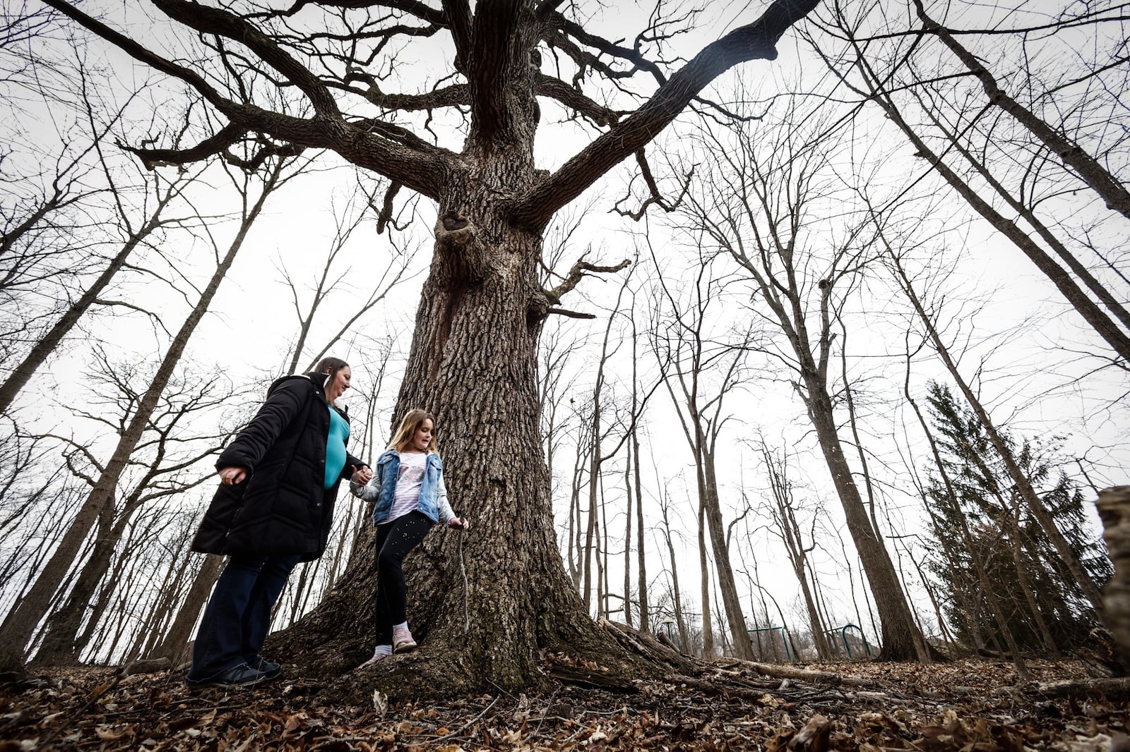 Sara Froats and her daughter, Maggie, 8, play around an old Oak tree at Rosewood Park in Centerville. JIM NOELKER/STAFF