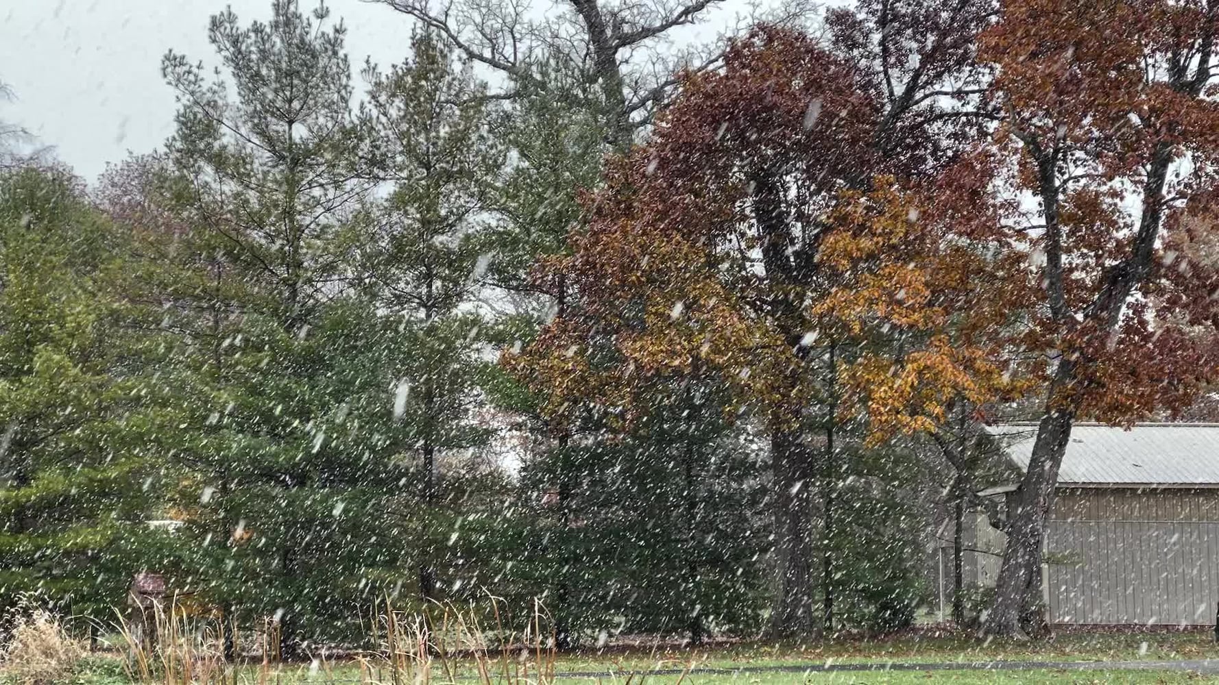 First snowfall of the season