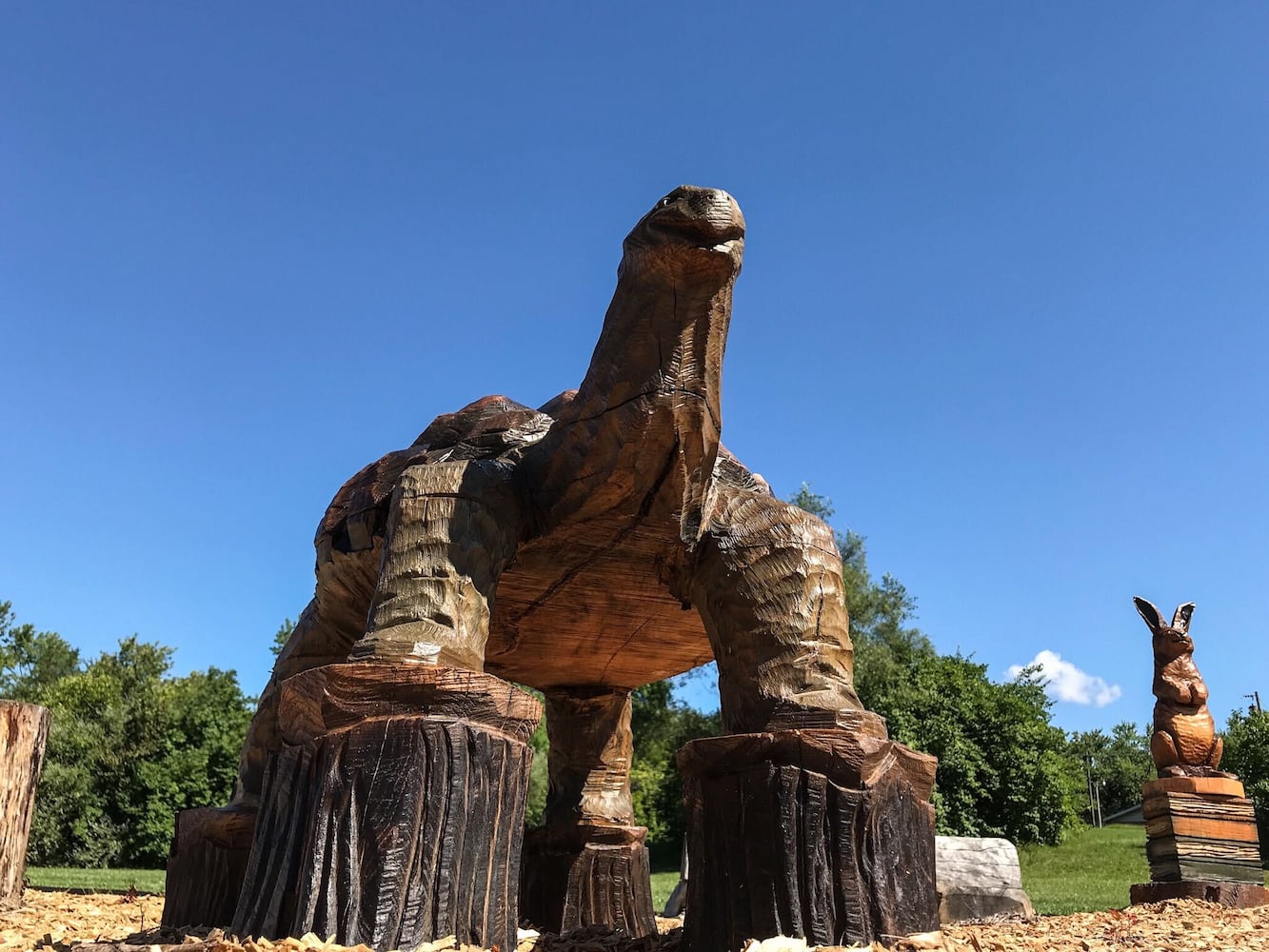 PHOTOS: Tornado wreckage becomes art for library