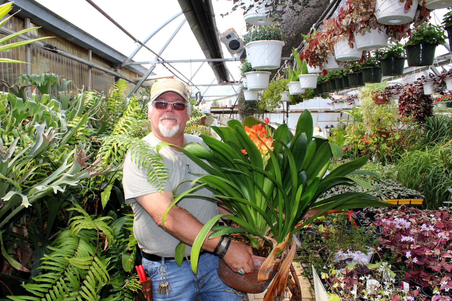 North Dayton Garden Center