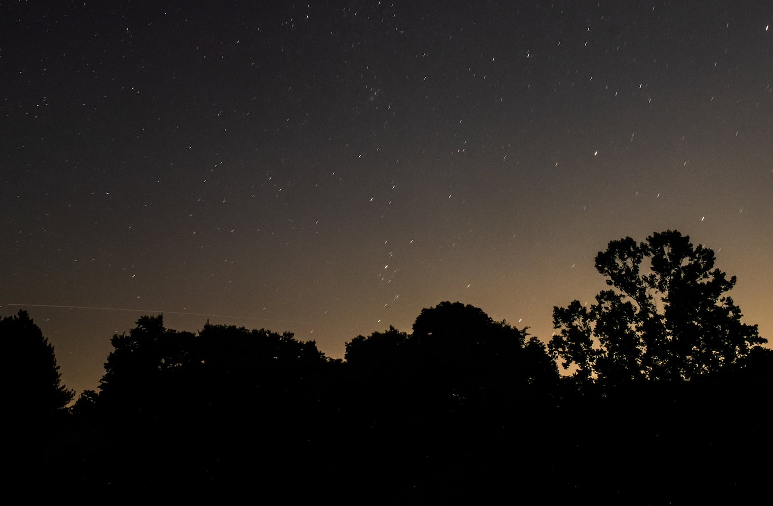 NEOWISE comet visible in the night sky