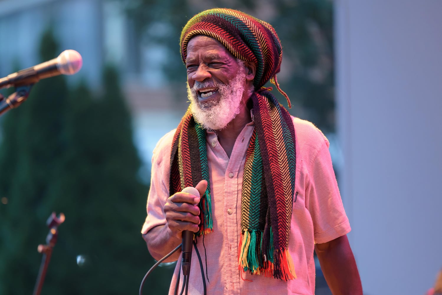 PHOTOS: 2024 Reggae Amplified at Levitt Pavilion