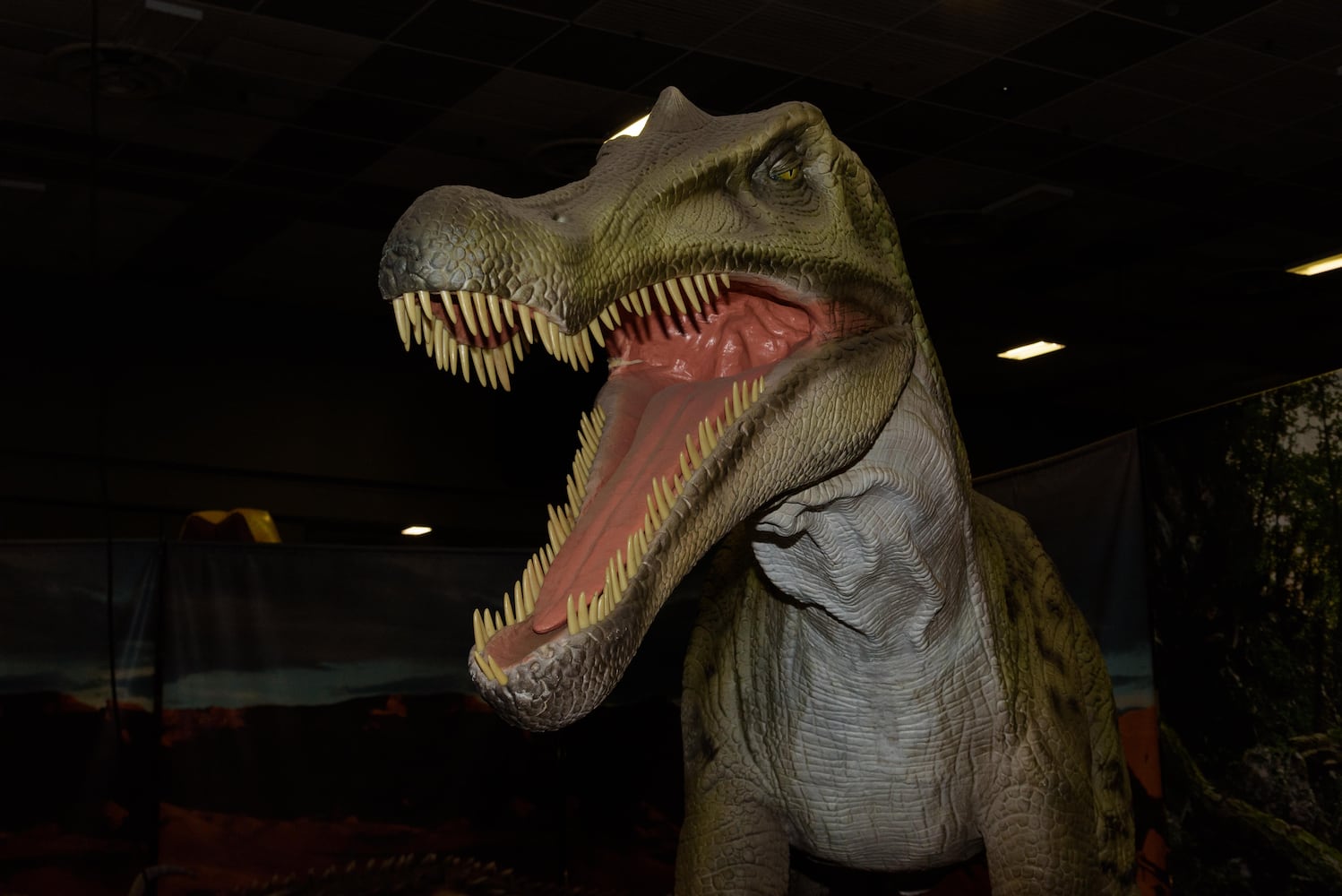 PHOTOS: Did we spot you hanging out with dinosaurs at Jurassic Quest at the Dayton Convention Center?