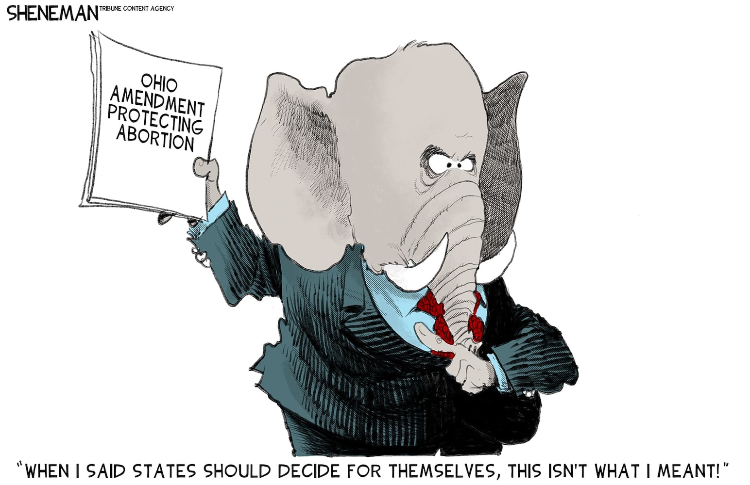 CARTOONS: Drew Sheneman, Nov. 16, 2023