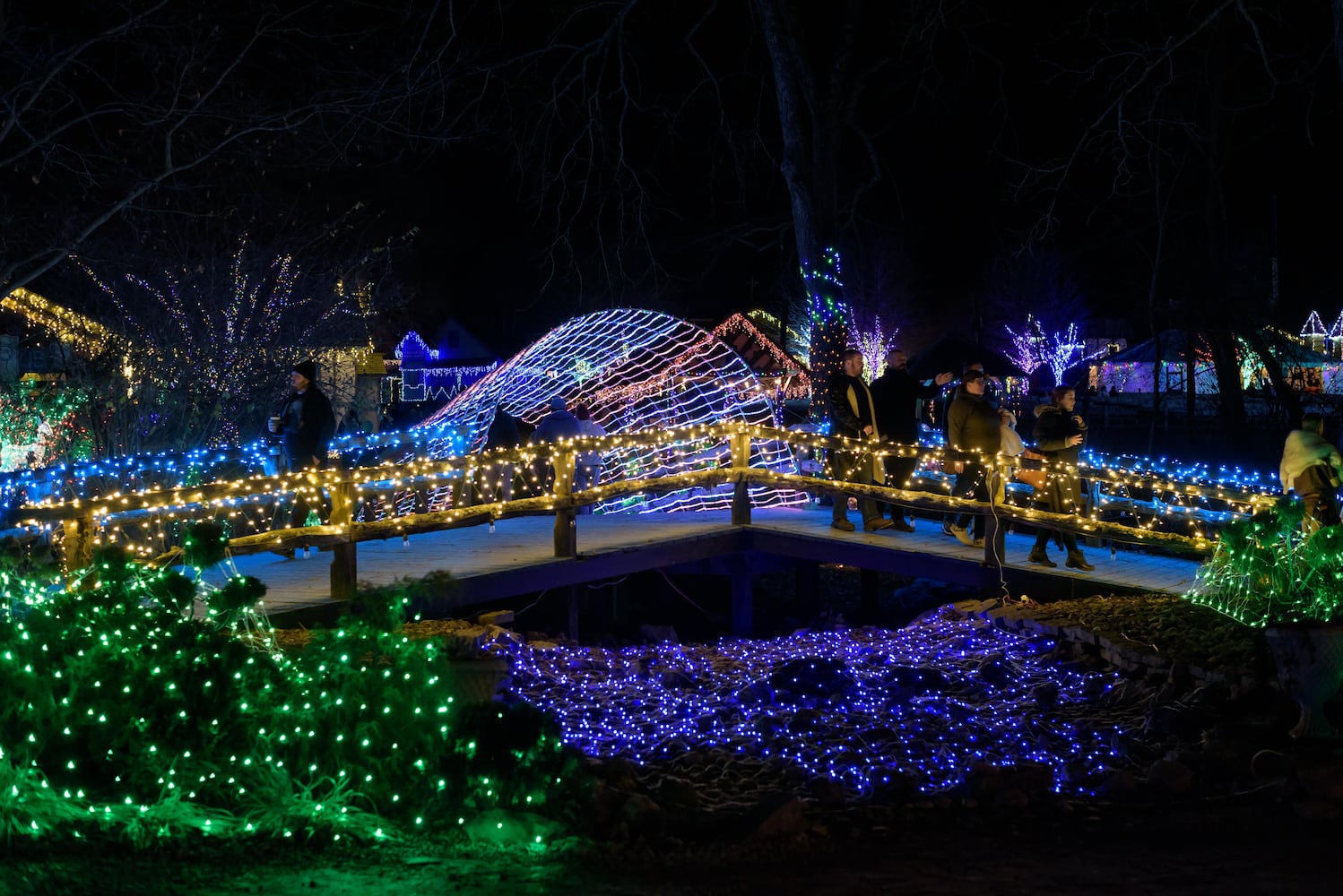 PHOTOS: Yuletide Village: Season of Lights at Renaissance Park Event Center