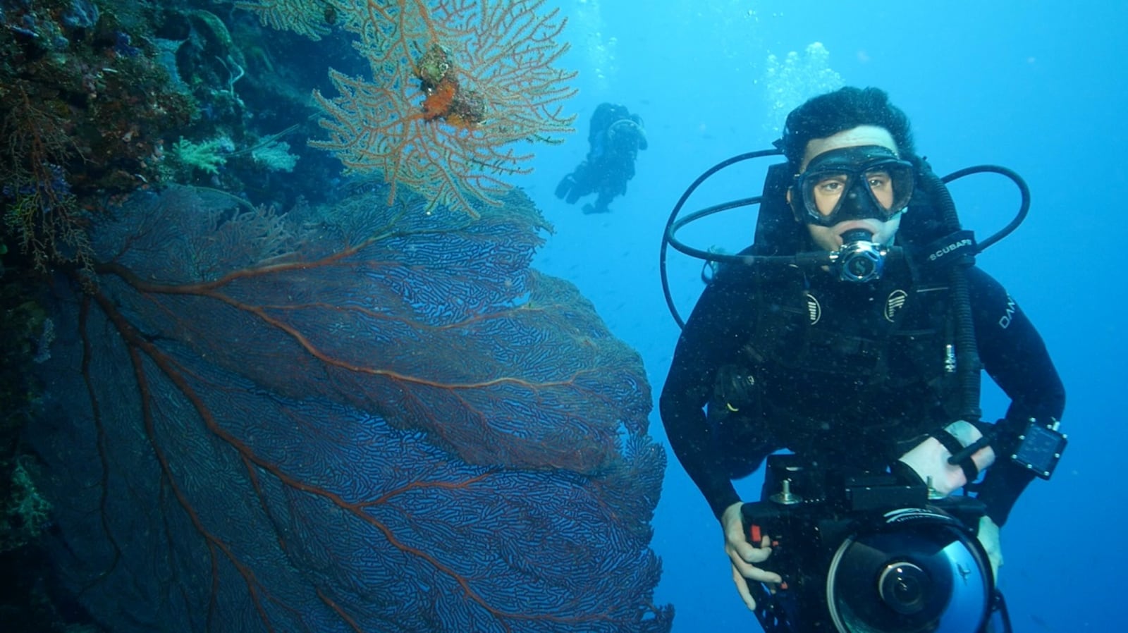 David Gruber, who is featured on the March 30 program, studies biofluorescence. CONTRIBUTED