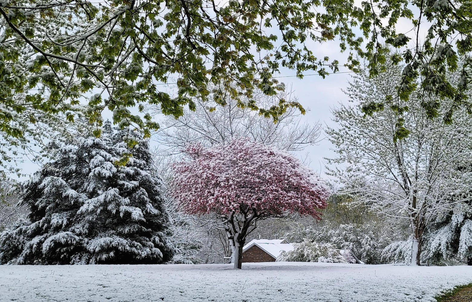 Snow in Butler County