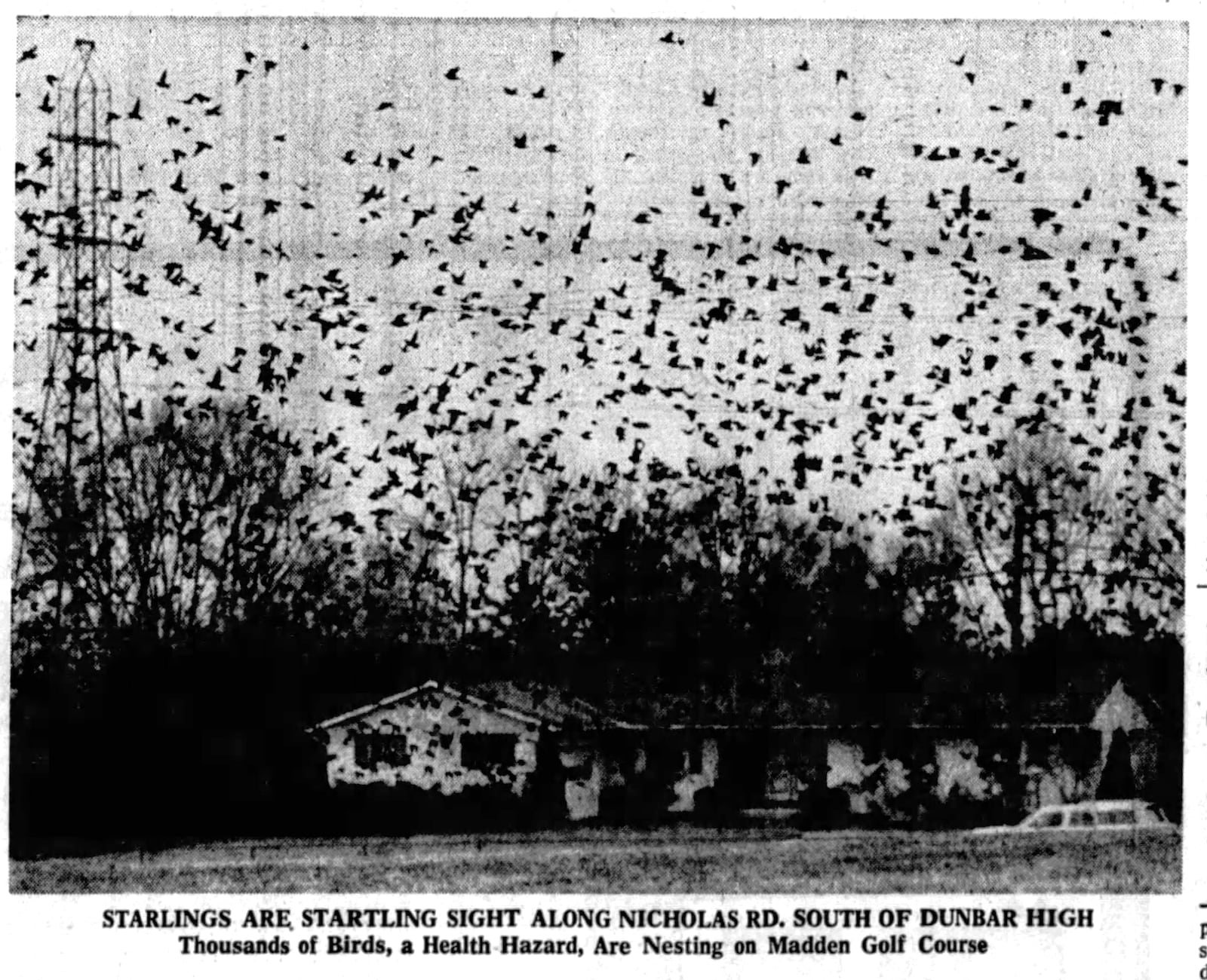 Feb. 23, 1975: City hopes Starlings get message from big blasts. DAYTON DAILY NEWS ARCHIVES