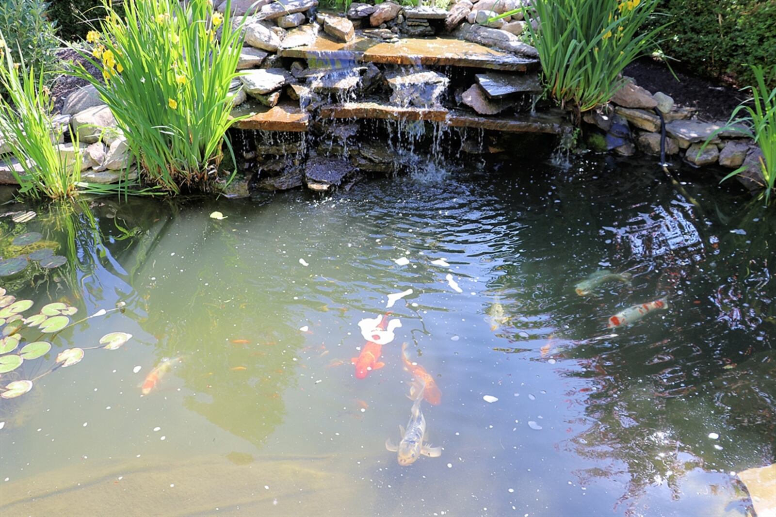 Mature trees provide shade, and the multi-level deck has shady spots under trellis pergolas as well as a sunny deck with floral-accented koi pond.