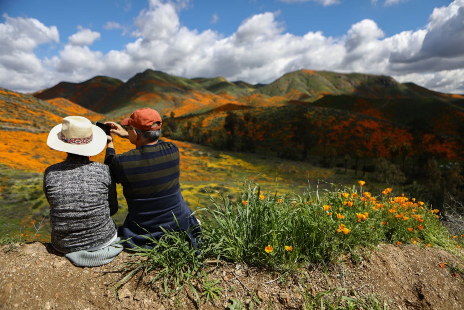 Photos: Spectacular wildflower super bloom in California