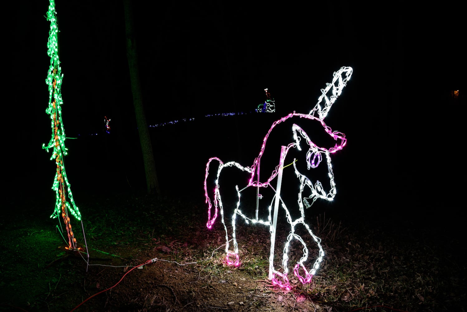 PHOTOS: ParkLights, a new winter wonderland at Caesar Ford Park in Xenia