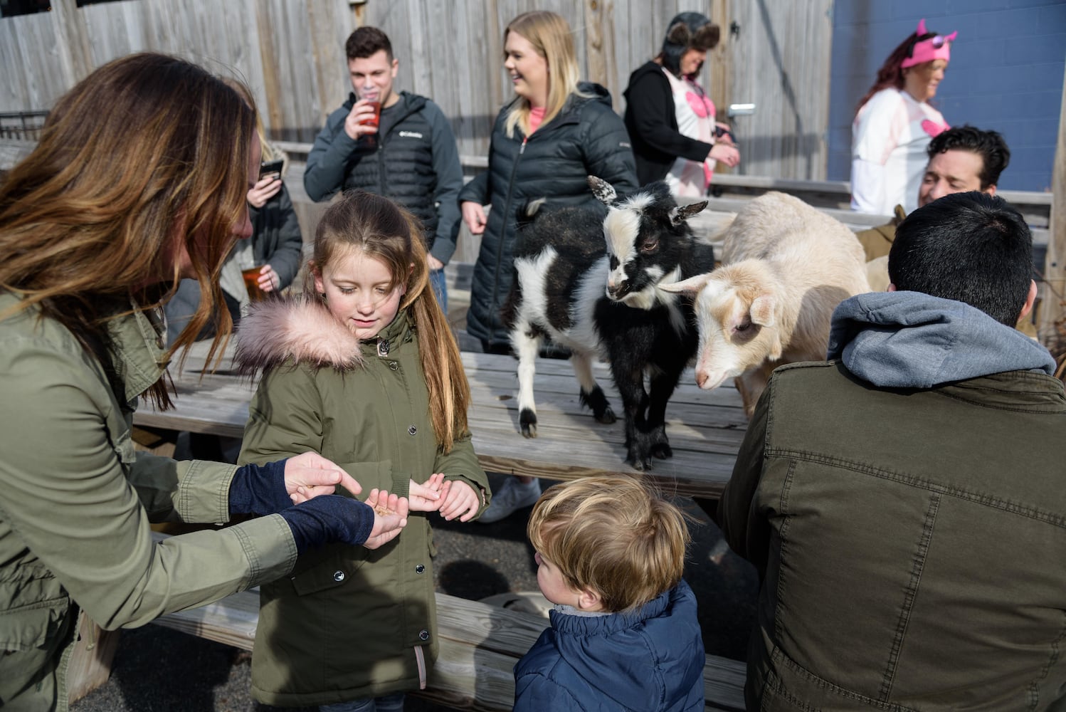 PHOTOS: Did we spot you frolicking with the cutest kids at Dayton Beer Company’s GoatFest?