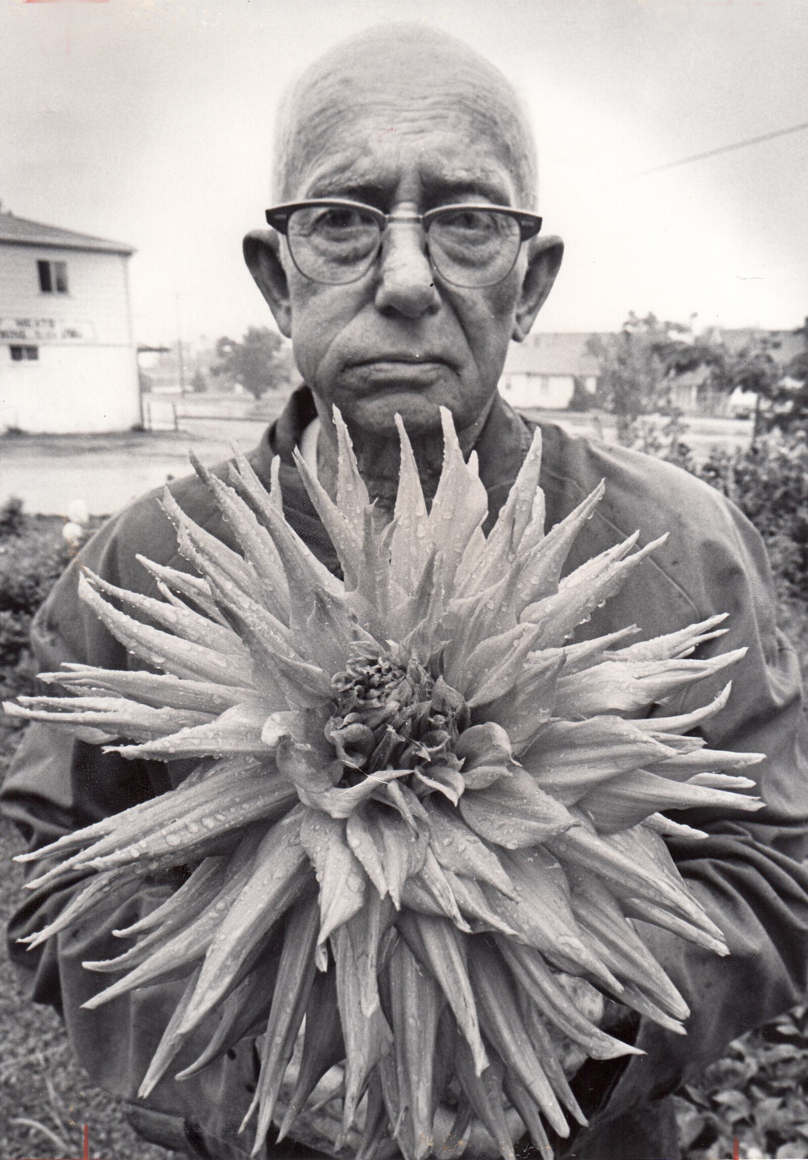 Bernard Wooley shows off his award winning dahlias at the Montgomery County Fair in 1976. DAYTON DAILY NEWS ARCHIVE