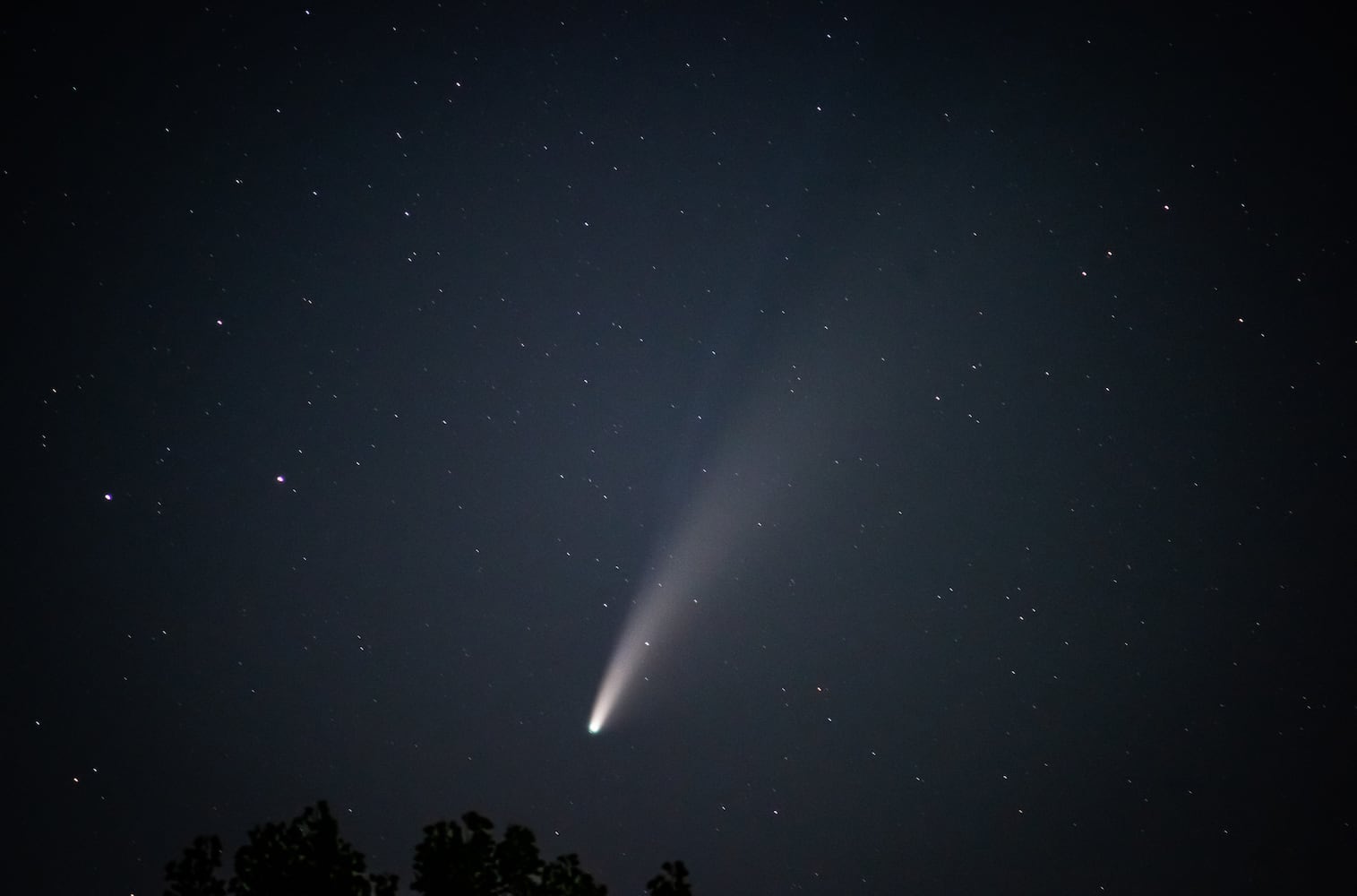 NEOWISE comet visible in the night sky