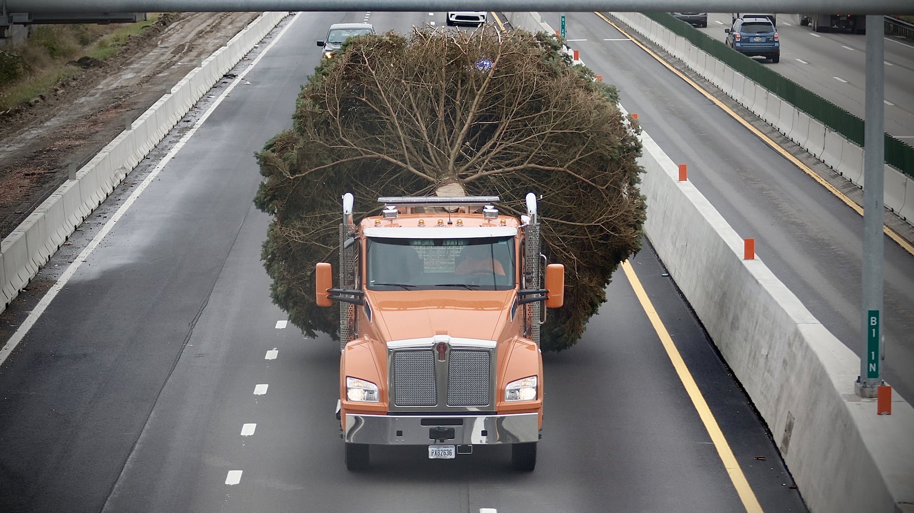 Dayton holiday tree 2024