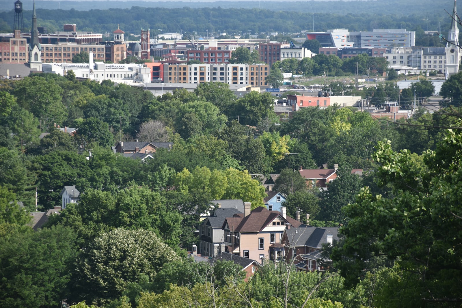 Tree cover in a southeast section of Dayton. CORNELIUS FROLIK / STAFF