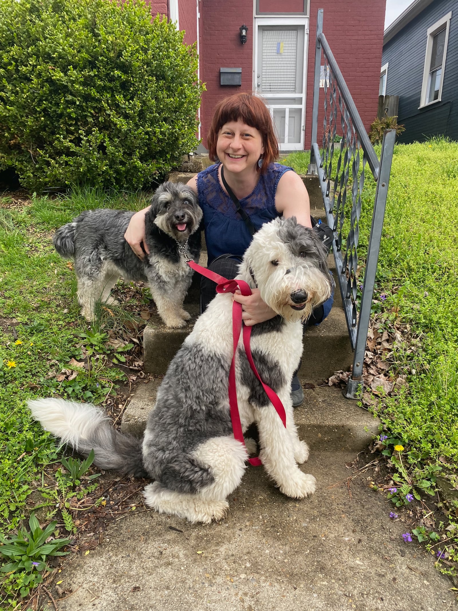 McConville at home in the South Park neighborhood in Dayton with her rescue dogs Merlin and Bea. CONTRIBUTED