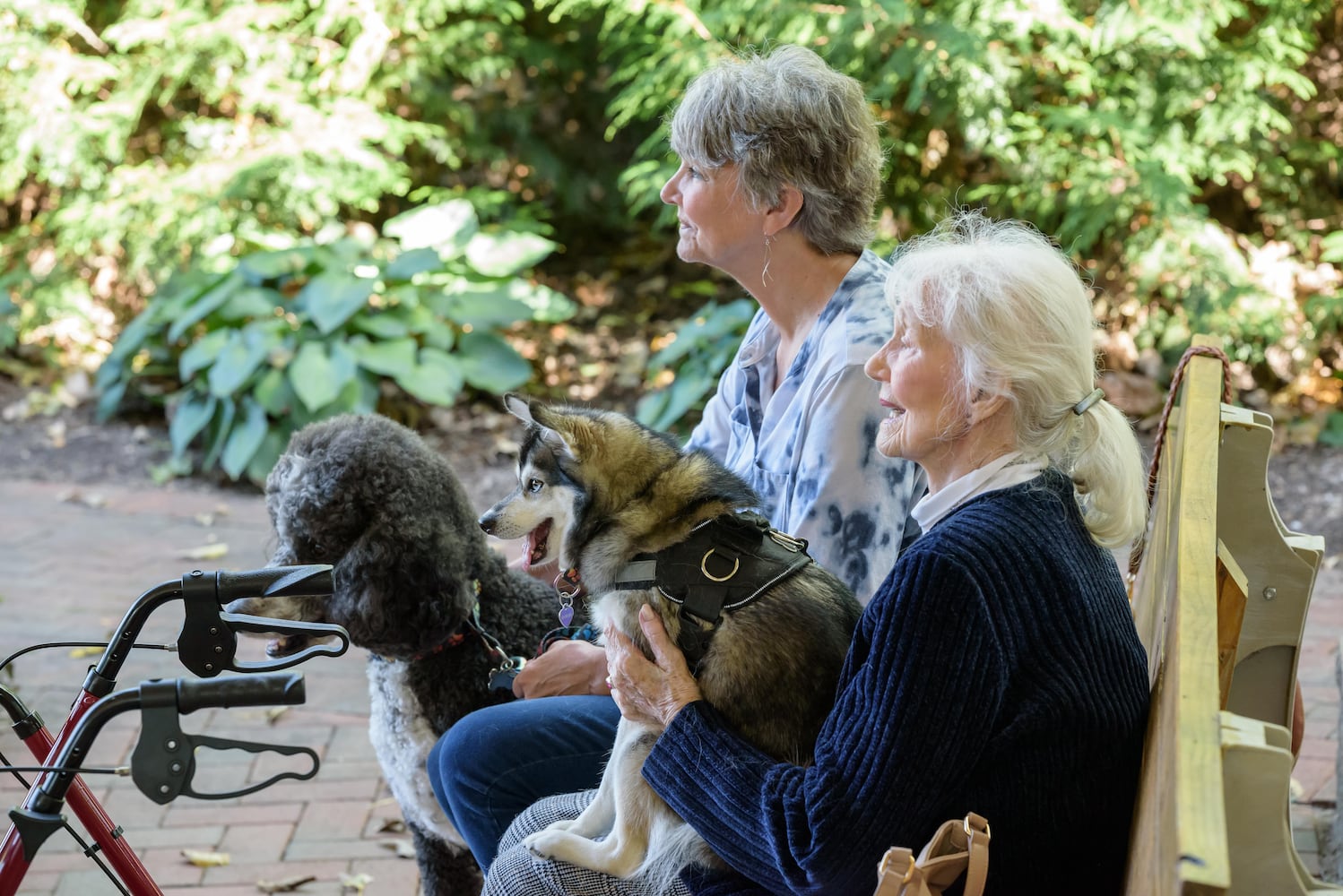 PHOTOS: 2024 Blessing of the Animals at Epiphany Lutheran Church