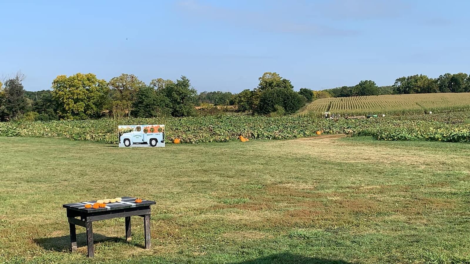 Schappacher Farms in Wilmington offers family fun on the farm (and mostly for free) with a corn maze, pumpkin patch and more. CONTRIBUTED