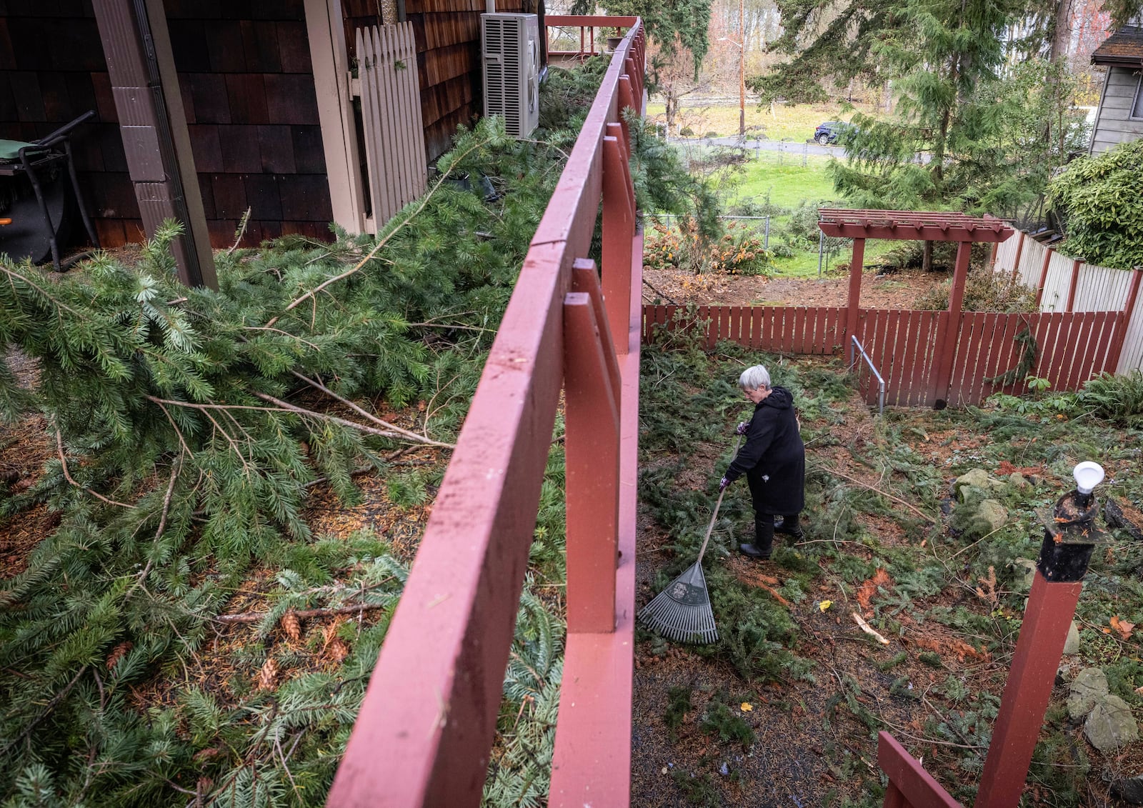 Kit Leahy, 75, who has not had power since 7 p.m. Tuesday night due to severe weather, attempts to clean up around the home where she rents near Matthews Beach, Wednesday morning, Nov. 20, 2024, in Seattle. (Ken Lambert/The Seattle Times via AP)