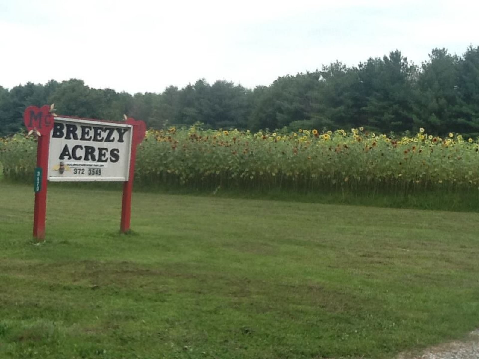 For a unique birthday party that your kid is sure to love, plan a pick-your-own apple party at McBreezy Acres Fruit Farm.  (Source: Facebook)