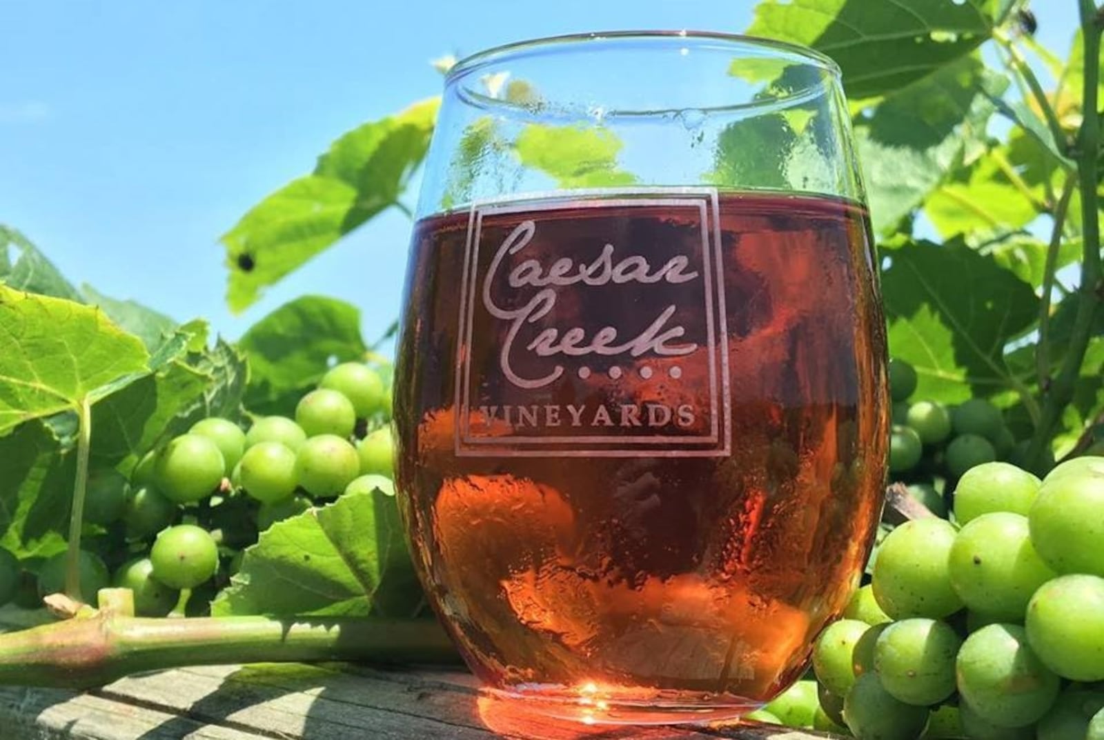 Photo from Caesar Creek Vineyards Facebook page