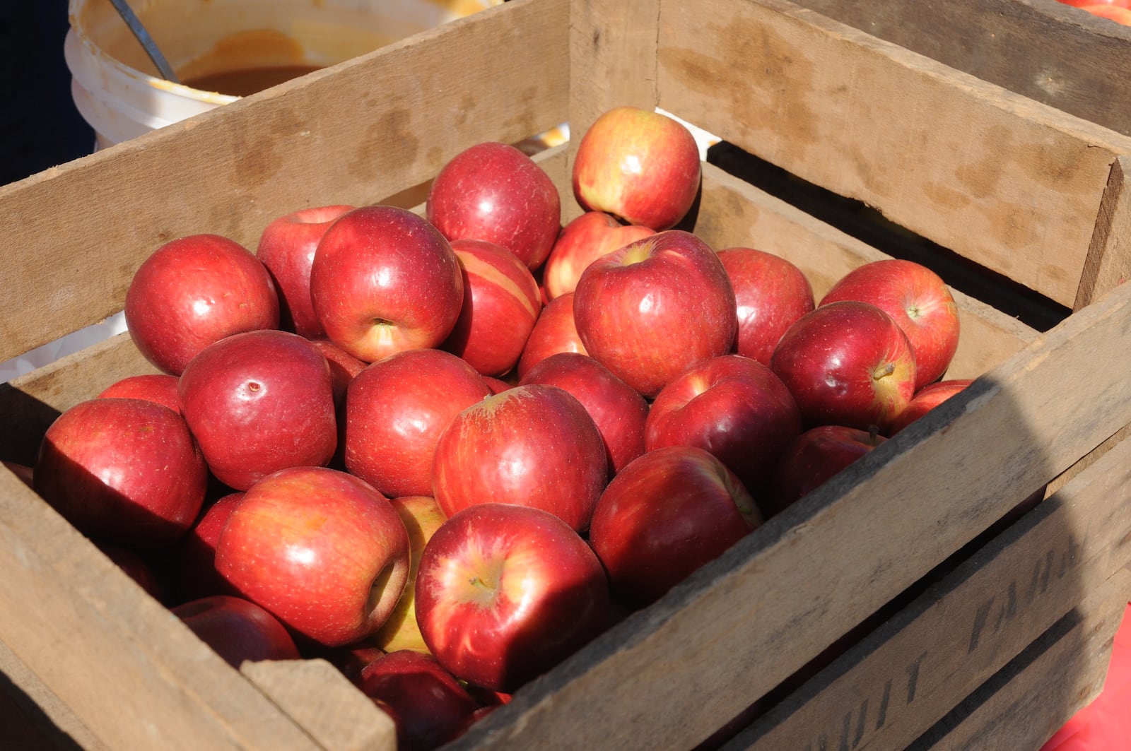 Here's who we spotted eating delicious apple treats and shopping for unique artisan items at the 36th annual Lebanon Country Applefest on Saturday, Sept. 29, 2018, at the Warren County Fairgrounds in Lebanon, Ohio. DAVID MOODIE/CONTRIBUTED