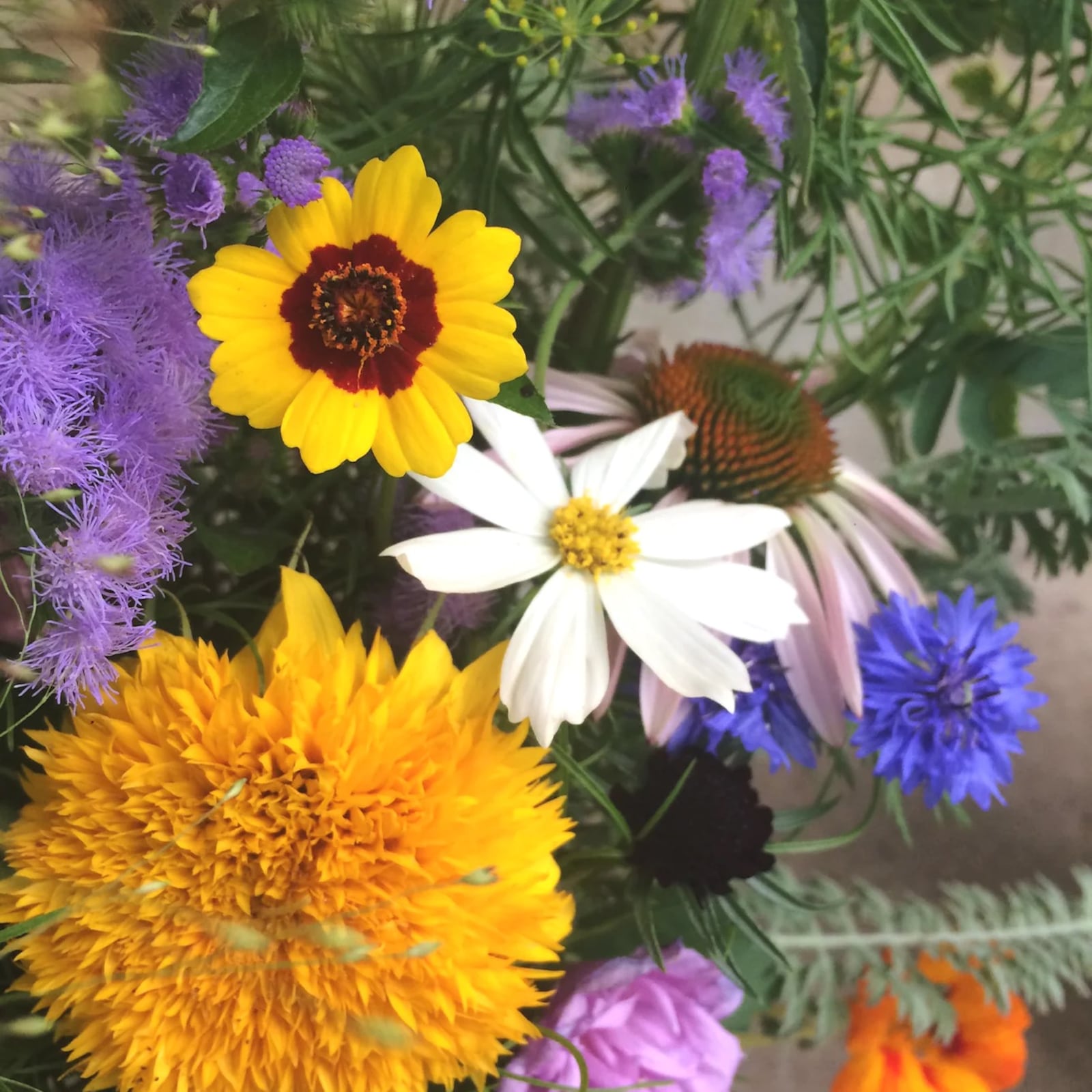 Oak and Ember Farms is partnering with local entrepreneur Carly Short to lead a cut-flower subscription program (CONTRIBUTED PHOTO).