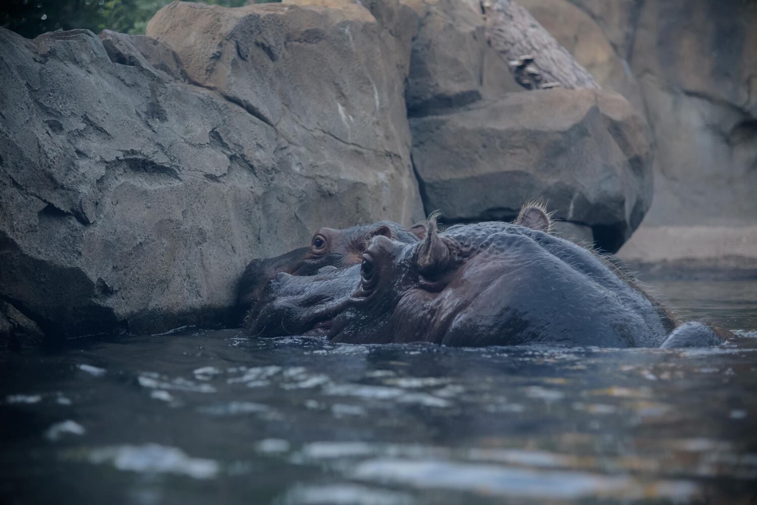 BEHIND THE SCENES: Take a look at what Fiona and Bibi are up to after hours