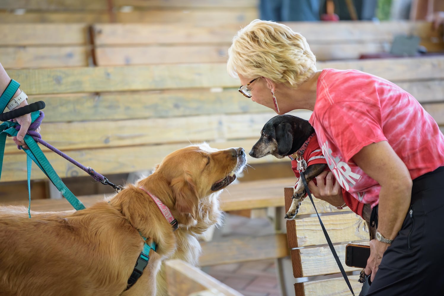 PHOTOS: 2024 Blessing of the Animals at Epiphany Lutheran Church