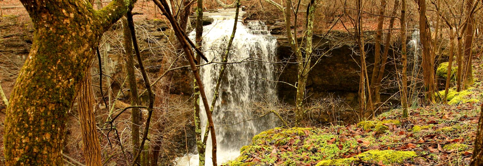 Charleston Falls Preserve is the perfect destination for a fall hike and a waterfall view.